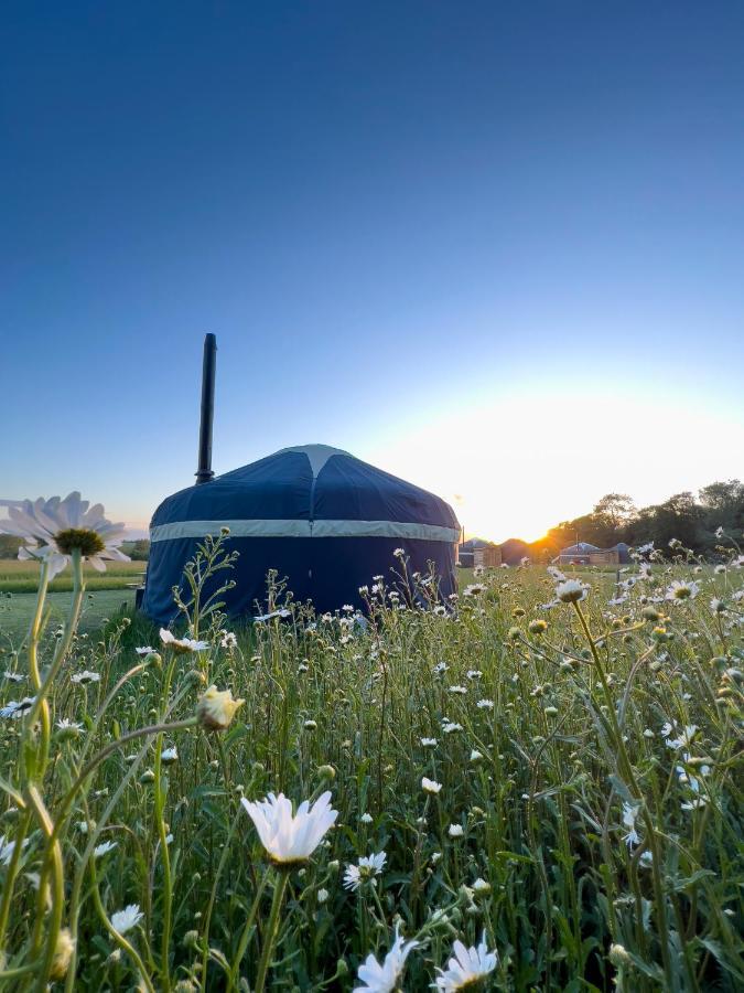 Wild Meadow, Lodge Farm, East Raynham Fakenham Buitenkant foto