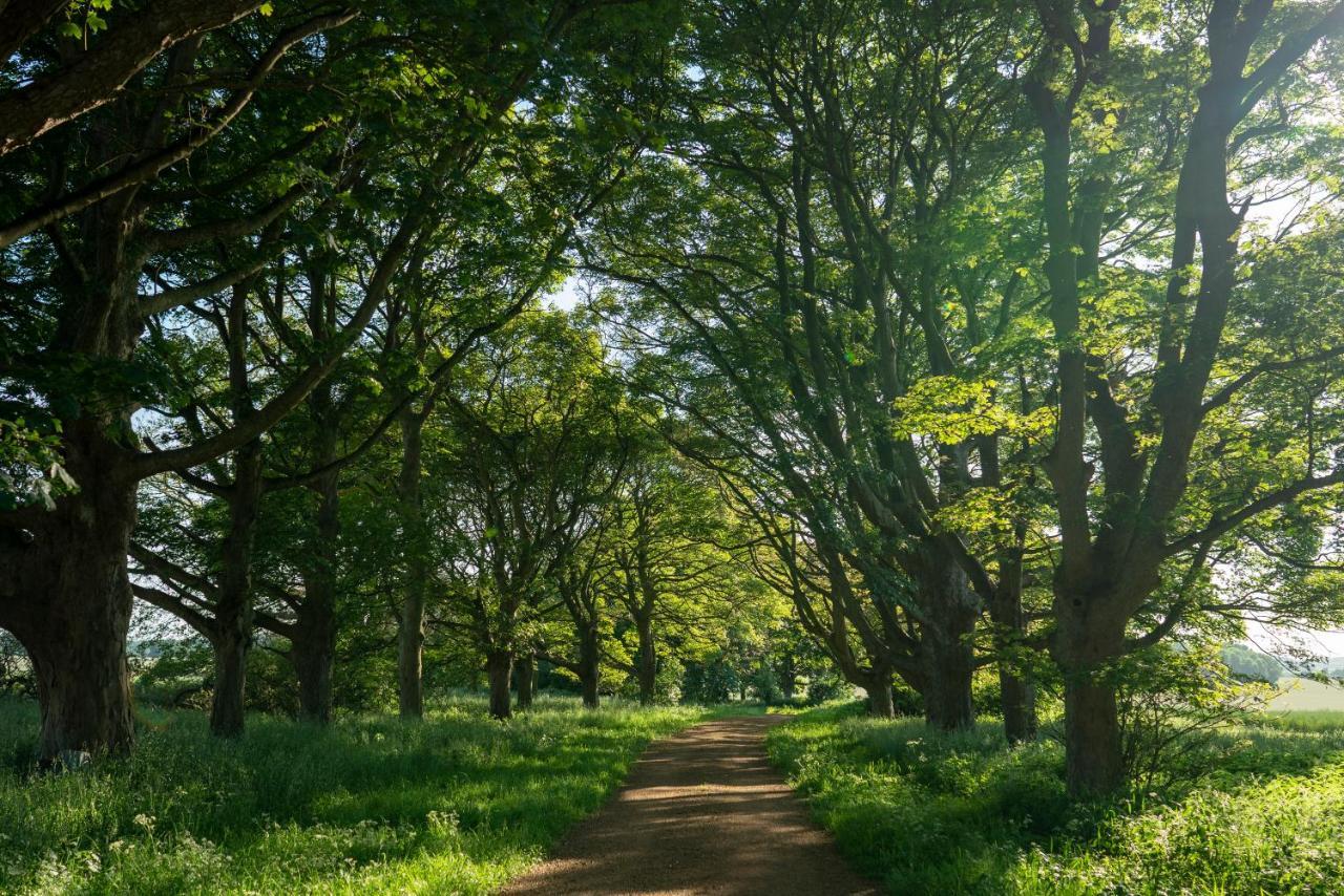 Wild Meadow, Lodge Farm, East Raynham Fakenham Buitenkant foto