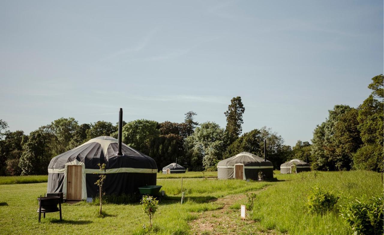 Wild Meadow, Lodge Farm, East Raynham Fakenham Buitenkant foto