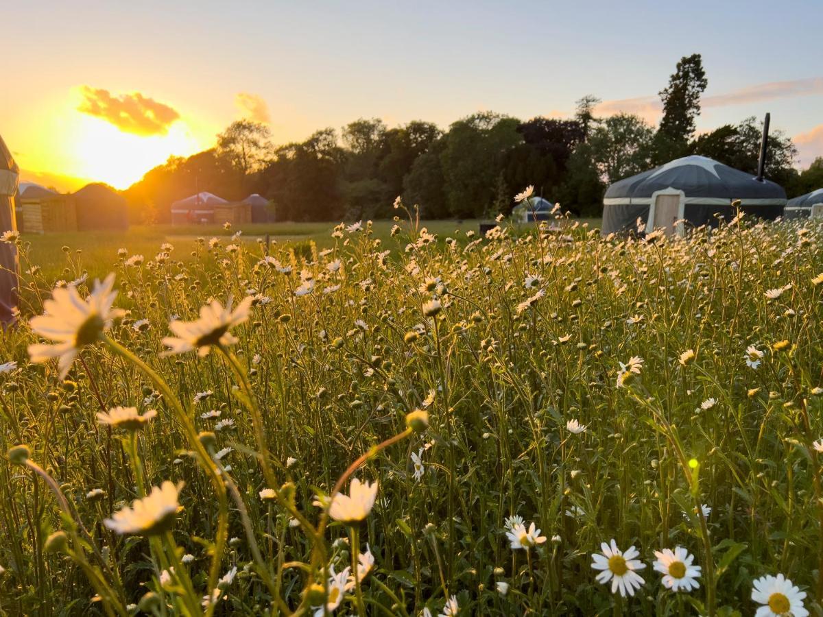 Wild Meadow, Lodge Farm, East Raynham Fakenham Buitenkant foto