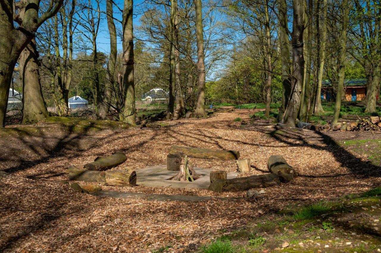 Wild Meadow, Lodge Farm, East Raynham Fakenham Buitenkant foto